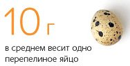 10 г - вес одного перепелиного яйца